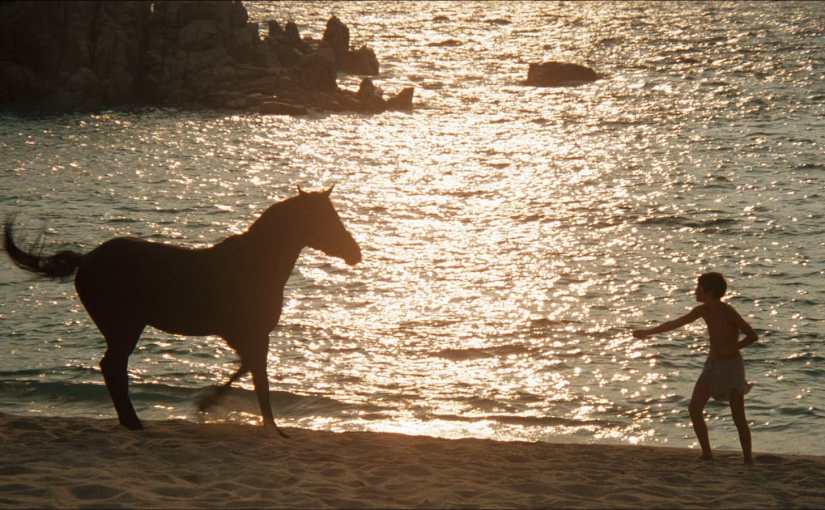 THE BLACK STALLION&nbsp;(1979)